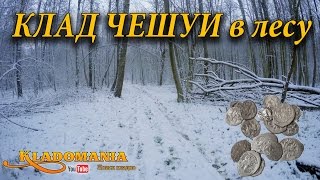 Клад чешуи и шурф чешуи. Мы нашли клад в лесу. Что можно найти в лесу с металлоискателем 2