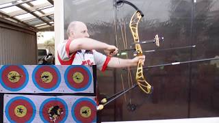 PSE Perform X target bow - 4 month review