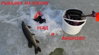 Рыбалка на озерах Усад и Вышнево.