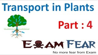 Biology Transport in Plants part 4 (Facilitated diffustion) CBSE class 11 XI