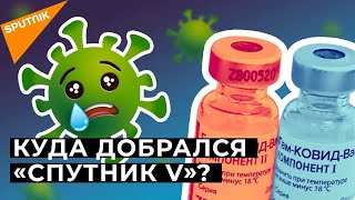 "Спутник V" добрался до Африки. Почему российской вакцине доверяют?