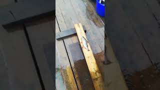 Лайфхак Как почистить быстро рыбу