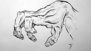 Hand anatomy exercise
