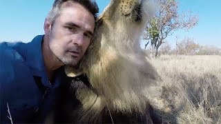 Bobcat's LOUD ROAR! | The Lion Whisperer