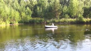 Тест электромотора Flover 33 TG