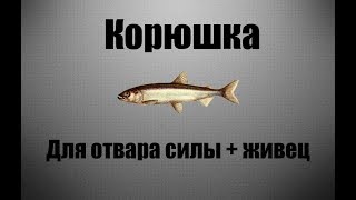 Русская рыбалка 3.99. Корюшка для отвара силы+живец (рр3.99)