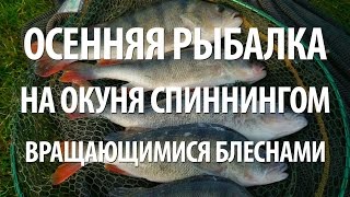 ЛОВЛЯ ОКУНЯ с ЛОДКИ. РЫБАЛКА ОСЕНЬЮ на СПИННИНГ в ПОДМОСКОВЬЕ