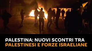#Palestina: nuovi scontri tra palestinesi e forze israeliane