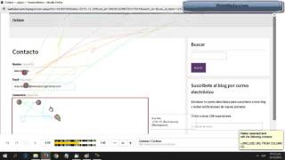 Webvisor Yandex