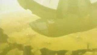 Is something missing Rangiku..?