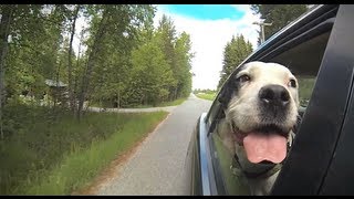 Wind In My Ears