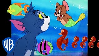 Tom y Jerry en Latino | Aventuras submarinas ???? | WB Kids
