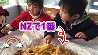 NZで一番のフィッシュ＆チップスを食べました カイアウア / Kaiaua Fisheries - Fish and Chips