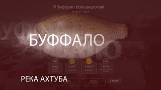 РР4! RF4! Русская Рыбалка 4! Река Ахтуба - Буффало