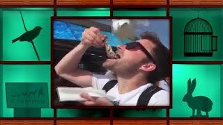 "Willen jullie meer of minder meeuwen?" - HET ZIJN NET MENSEN