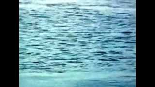 Тамара Миансарова А море спит