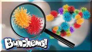 Банчемс под микроскопом.    Конкурс! Bunchems under microscope