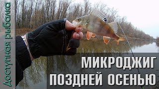 Микроджиг поздней осенью на китайский съедобный силикон с AliExpress