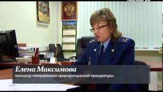 "Специальный репортаж": "Лосиный остров" под угрозой