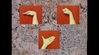 TRADITIONAL SNAKE STYLE KUNG FU PROTOCOL