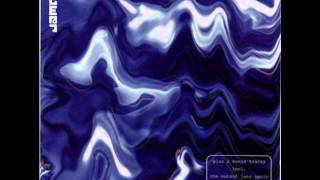 T Power - Indigo / Silver