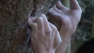 恵那笠置山 「コモレビ＆陽だまり 二段」「アルケミア 初段」