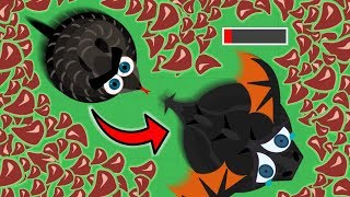 COBRA KILLS BLACK DRAGON // KILLING ALL DRAGONS WITH TAILBITES (Mope.io funny moments)