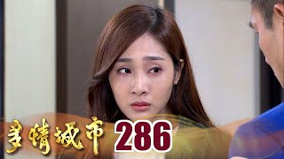 多情城市 EP286 我們的緣分到此為止｜Golden City