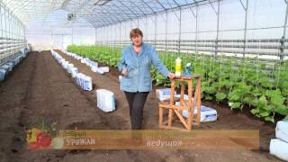Теплая грядка. Добрый урожай 5