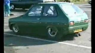 V8 Reliant Kitten