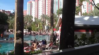 Las Vegas Nevada Flamingo Hotel Walk Through