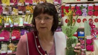 Что делать с розами и другими саженцами после покупки их в магазине