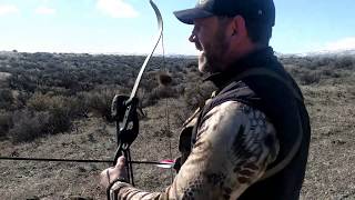 RECURVE RABBIT HUNTING!!!
