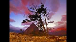Sting - Desert Rose, Стинг - Роза пустыни