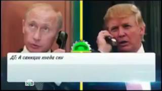 Минутка юмора. Что было на самом деле. Звонок Трампа Путину