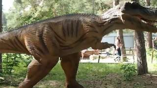Тираннозавр - динозавры в парке Гагарина. Динопарк в Челябинске. Tyrannosaurus Osborn, 1905