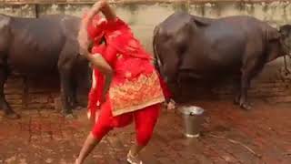 Desi item by som