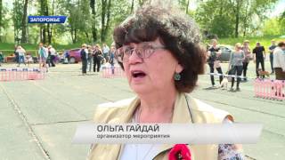 ДАЙ ЛАПУ, ДРУГ