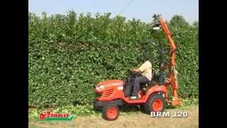 BRM 120 hedge trimmer Rinieri Potasiepi