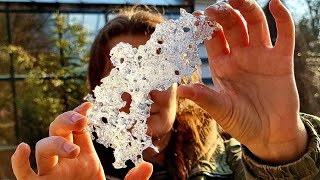 Прогулка по весне: шишки, птички, цветочки, дохлая рыбка. Аптекарский огород в московском апреле