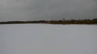 Свердловская область, Каменский район, д. Богатенково ,болото Моховое