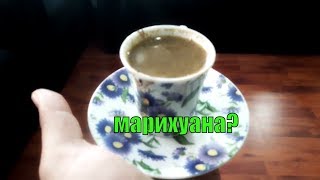 Марихуана! А вы пили : kahvesi menengeci с марихуаной ?  Выпуск № 20   #NazarDavydov  Antalya