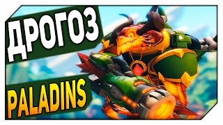 Paladins - ДРОГОЗ.