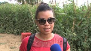 REPORTAJE HUEVO TORO BLOGUEROS