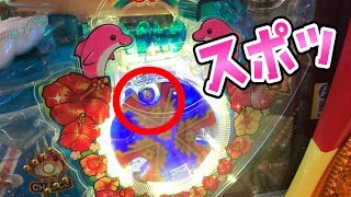 最高に面白い【南国育ち羽物】このごみ165養分パチ