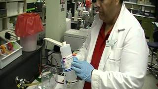 Polyacrylamide Gel Electrophoresis