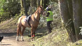 The British Horse Society - Access Code
