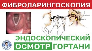 Непрямая ларингоскопия гортани без патологии