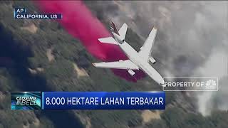 8.000 Hektare Lahan Terbakar di California