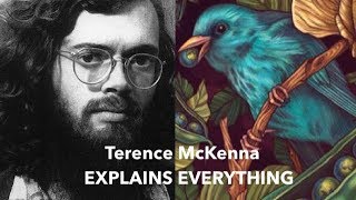 Terence McKenna Explains Everything